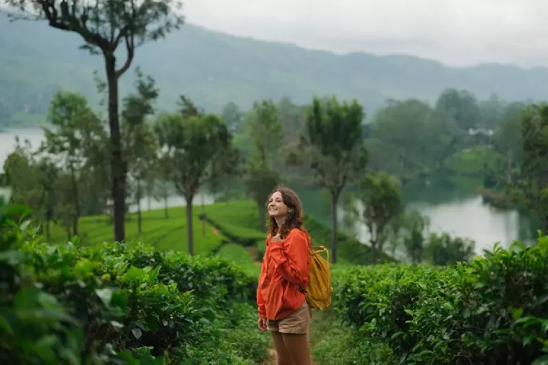 Tesori dello Sri Lanka - Tour Completo 13 Giorni